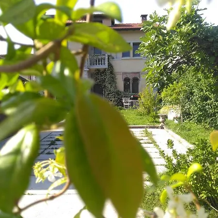 Casa Lulu